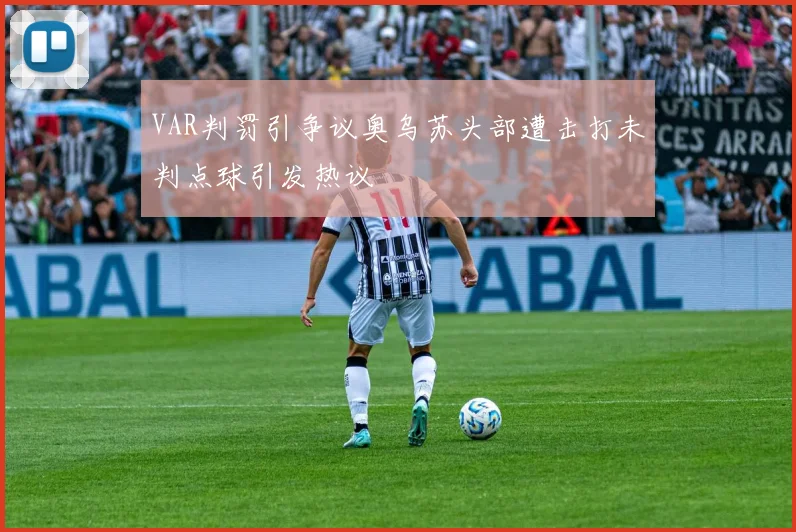 VAR判罚引争议奥乌苏头部遭击打未判点球引发热议