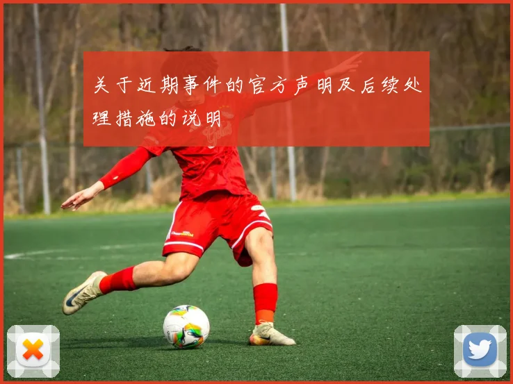 关于近期事件的官方声明及后续处理措施的说明