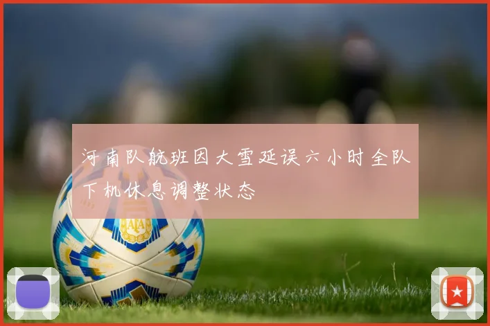 河南队航班因大雪延误六小时全队下机休息调整状态