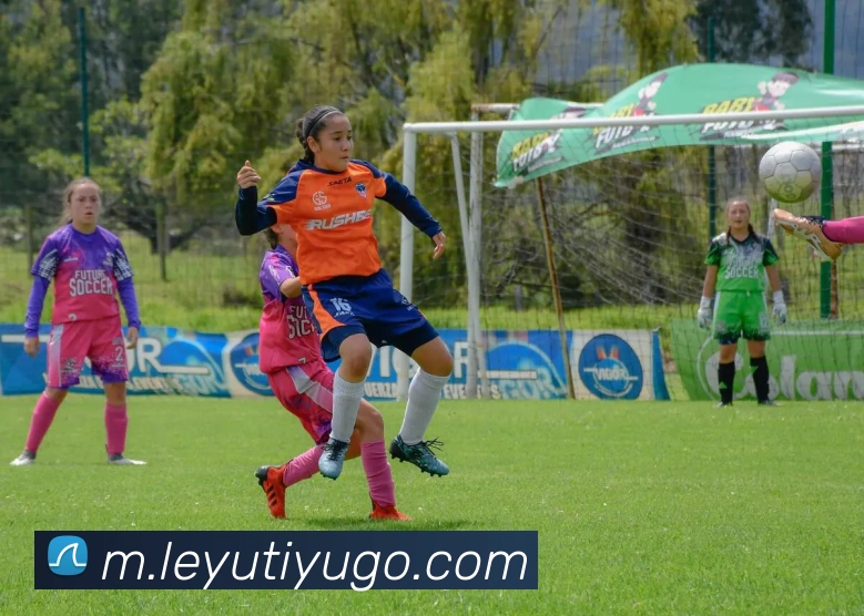 乐鱼体育发展历程