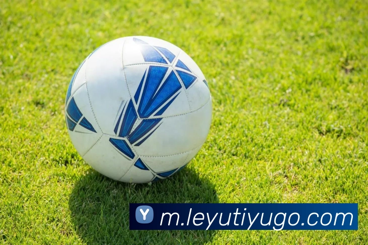 本泽马转会因C罗不满暂缓沙特王子或将自掏腰包助其成行